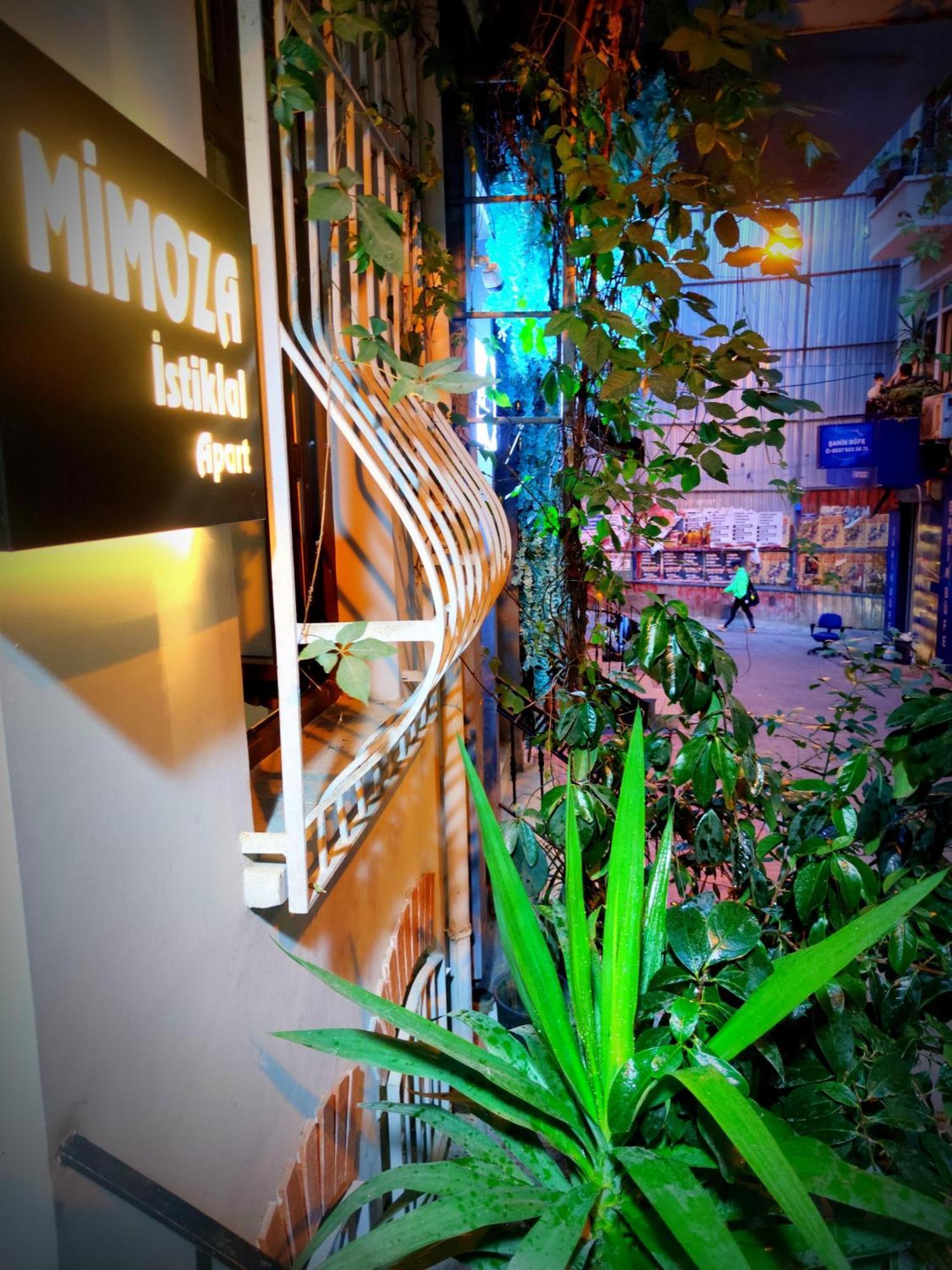 Mimoza Istiklal Apart Hotel Istanbul Luaran gambar